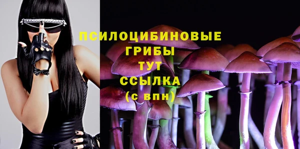 марки nbome Алзамай