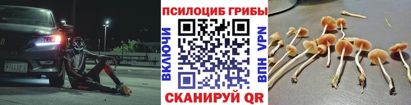 Псилоцибиновые грибы Psilocybe  Кирс 